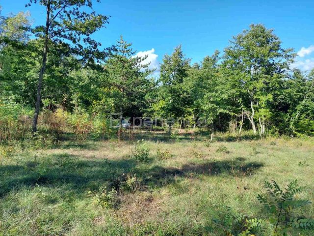 Land For sale - Istarska Višnjan - foto 2/7