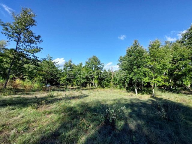 Land for sale 1813 m² – Višnjan
