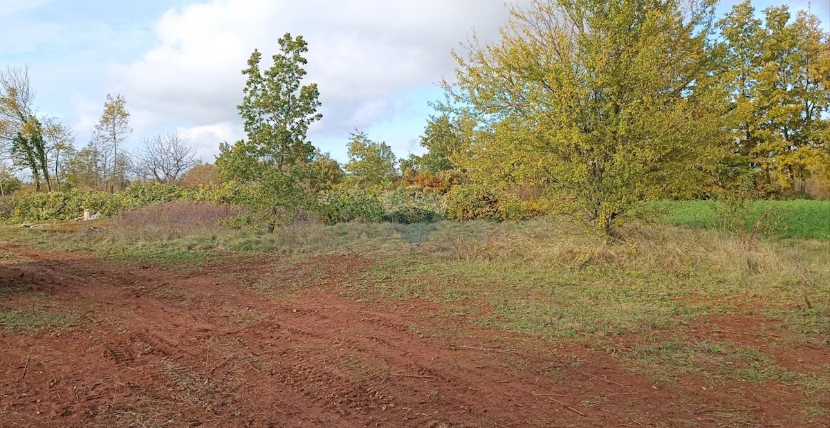 Terreno In vendita - ISTARSKA  ŽMINJ 