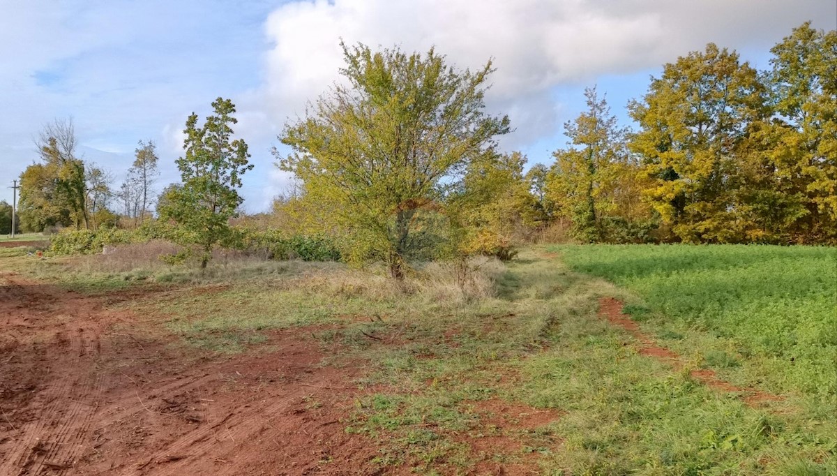 Terreno In vendita - ISTARSKA  ŽMINJ 