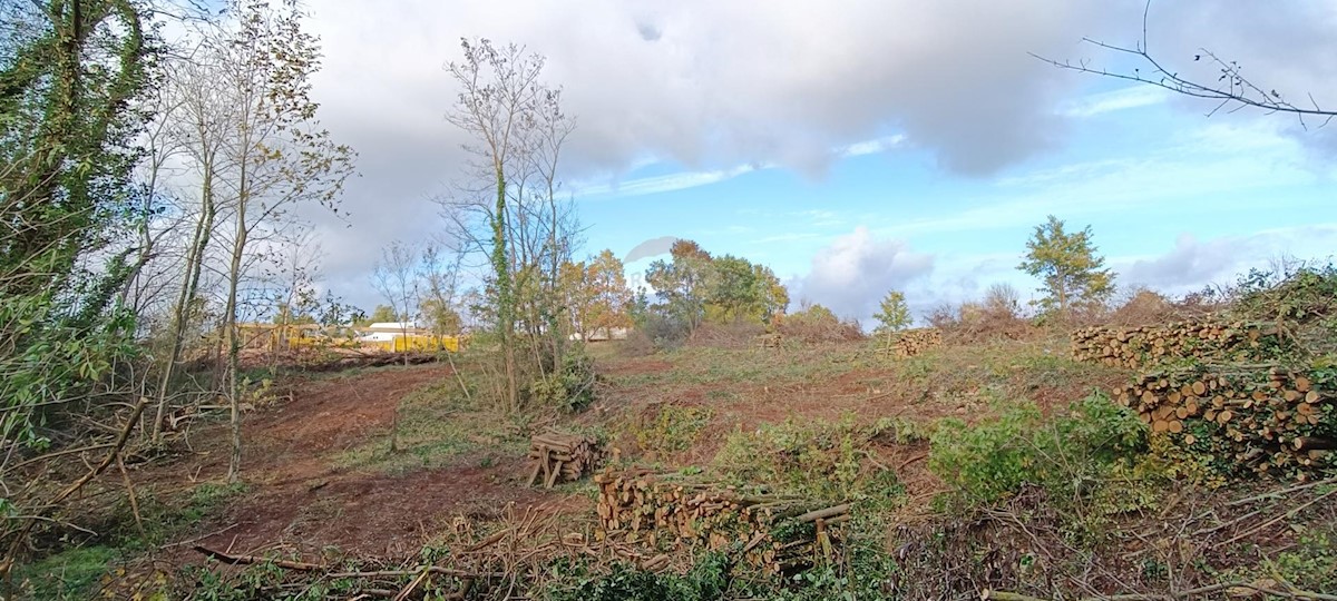 Terreno In vendita - ISTARSKA  ŽMINJ 