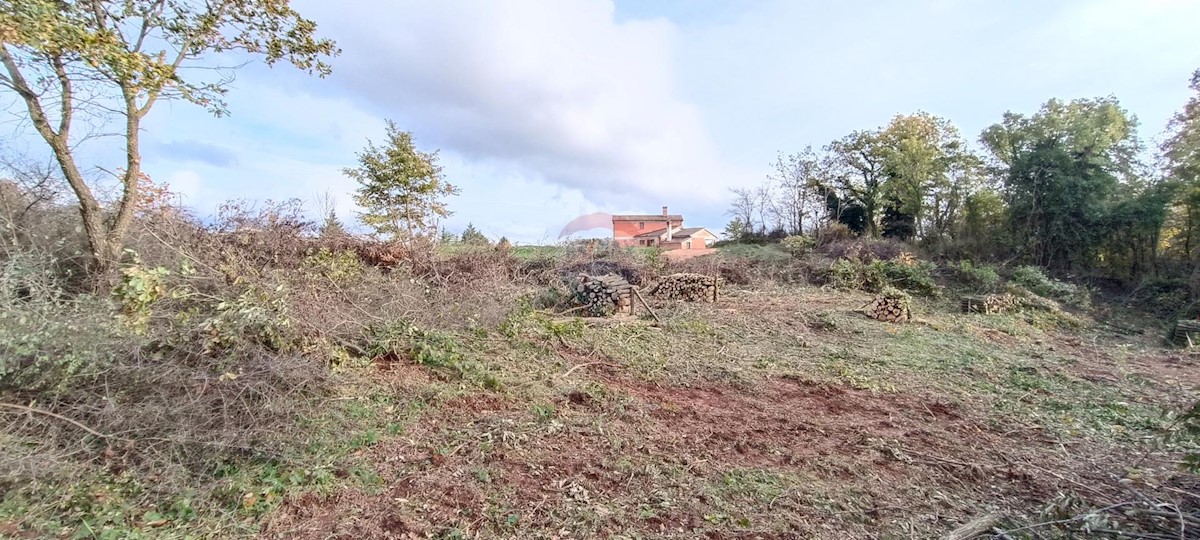 Terreno In vendita - ISTARSKA  ŽMINJ 