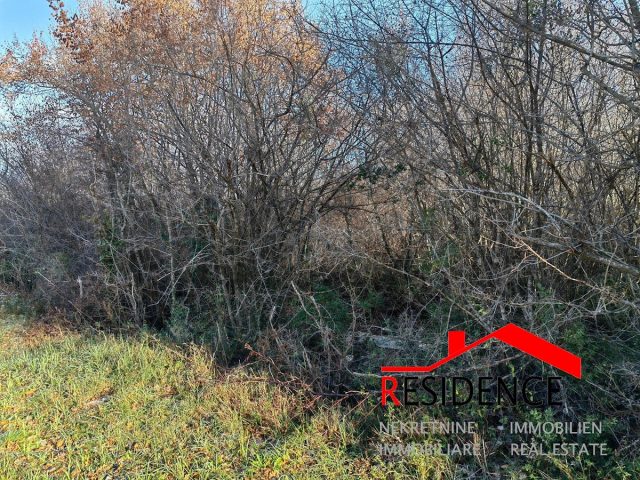 Działka na sprzedaż 7865 m² – Gradina