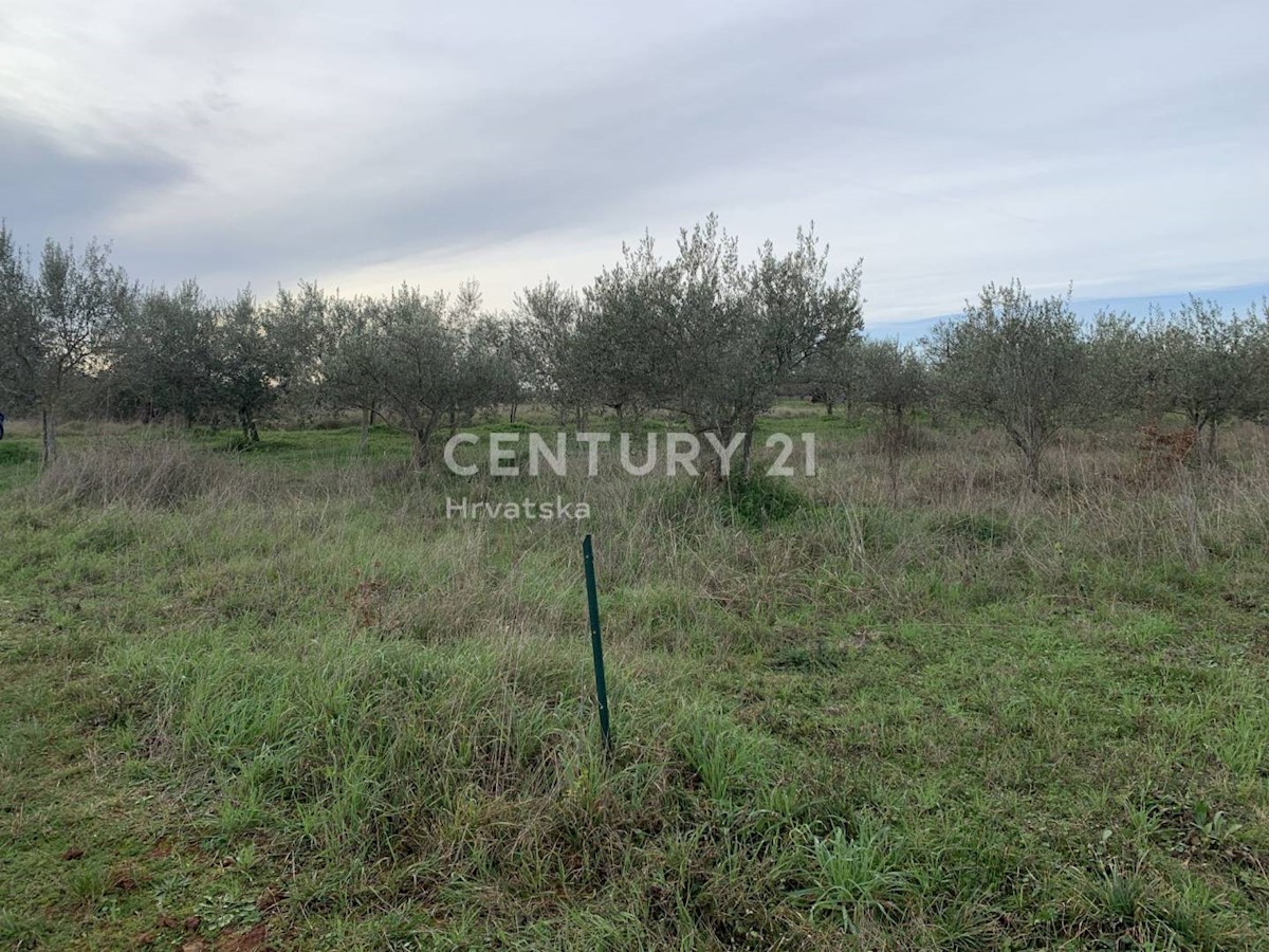 Terreno In vendita - ISTARSKA  UMAG 