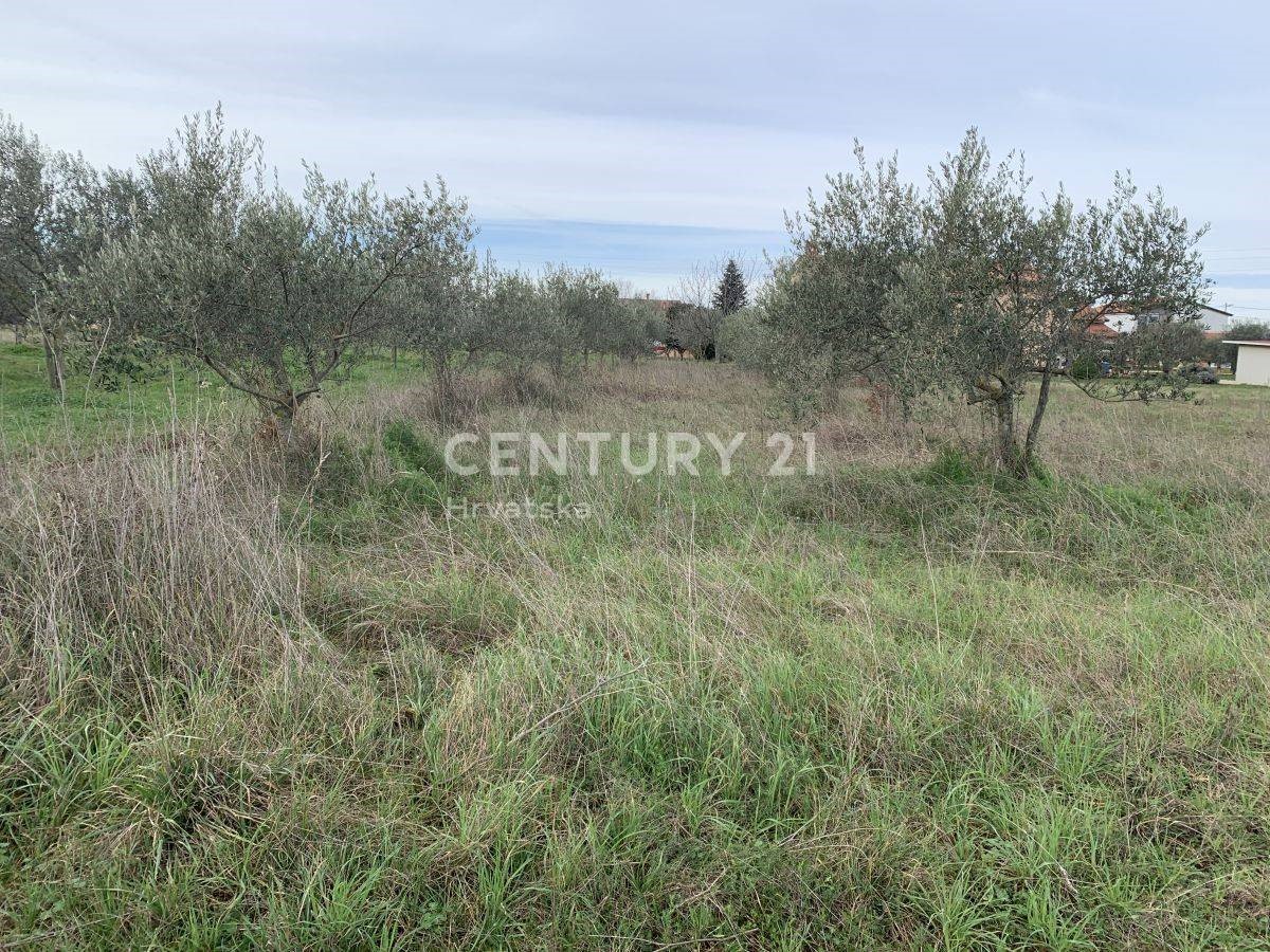 Land For sale - ISTARSKA  UMAG 