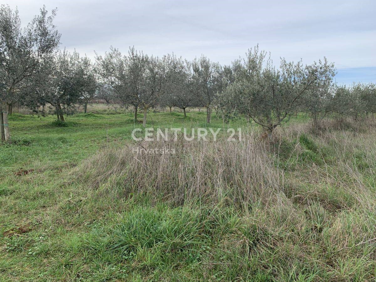 Land For sale - ISTARSKA  UMAG 