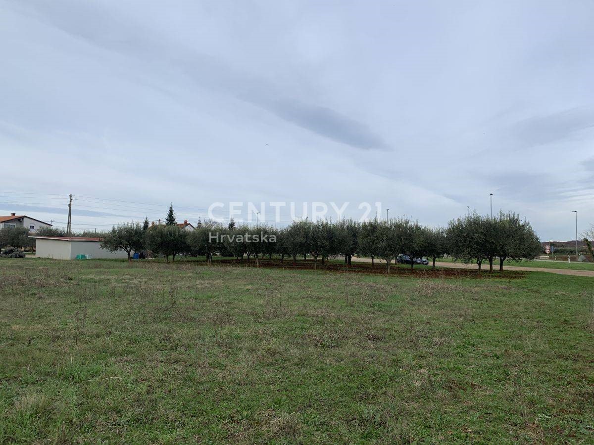 Land For sale - ISTARSKA  UMAG 