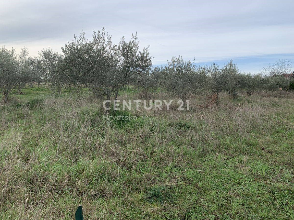 Land For sale - ISTARSKA  UMAG 