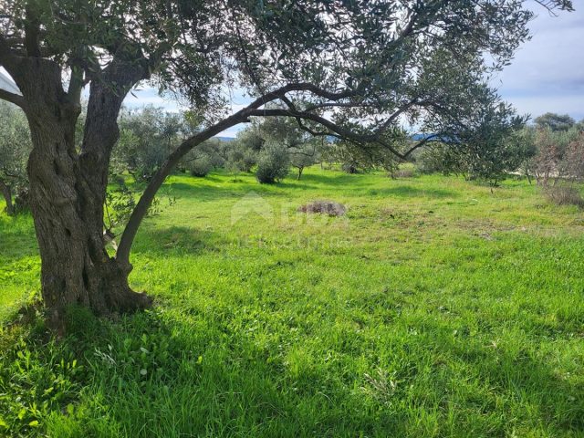 Grundstück zu verkaufen 1380 m² – Bibinje