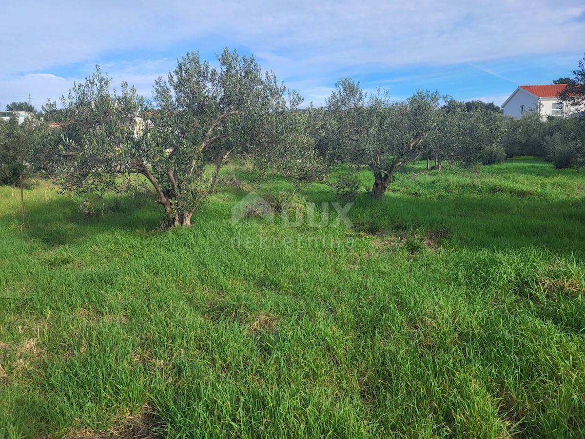 Land For sale - ZADARSKA  BIBINJE 