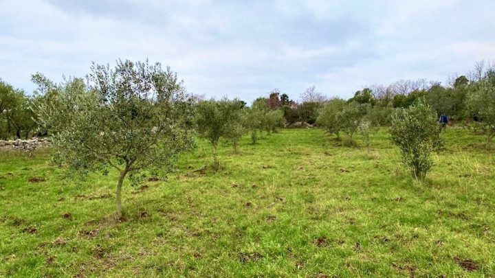 Terreno In vendita - Istarska Fažana - foto 4/7