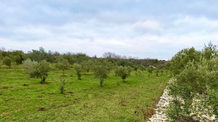Terreno In vendita - Istarska Fažana - foto 5/7