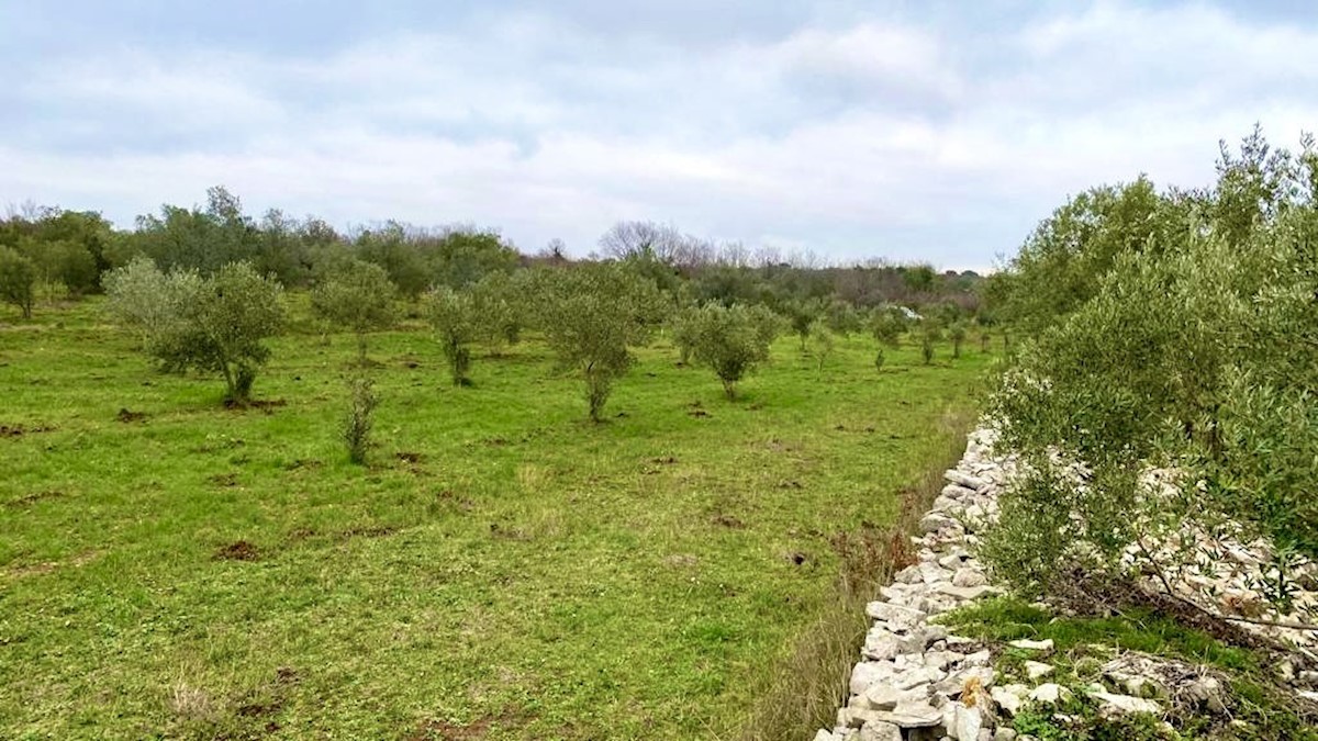 Terreno In vendita - ISTARSKA  Fažana
