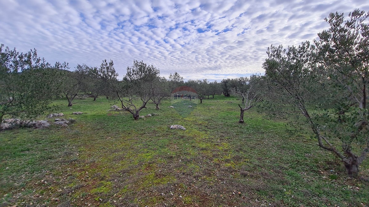 Terreno In vendita