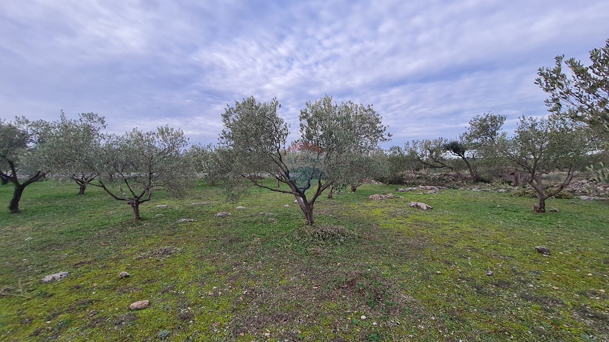 Terreno In vendita - ŠIBENSKO-KNINSKA  ŠIBENIK 