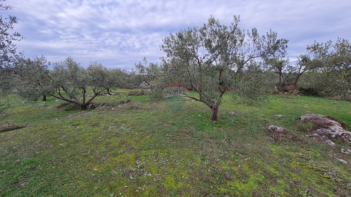 Terreno In vendita - ŠIBENSKO-KNINSKA  ŠIBENIK 