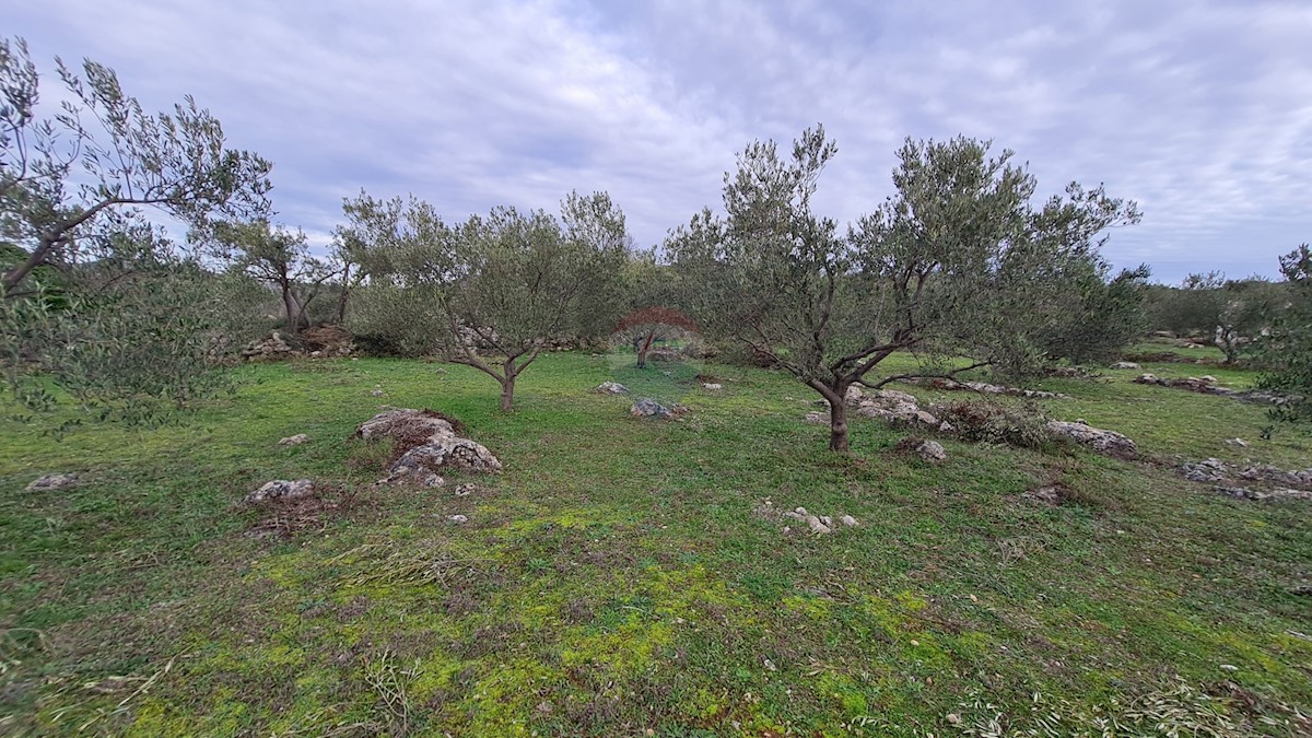 Terreno In vendita - ŠIBENSKO-KNINSKA  ŠIBENIK 