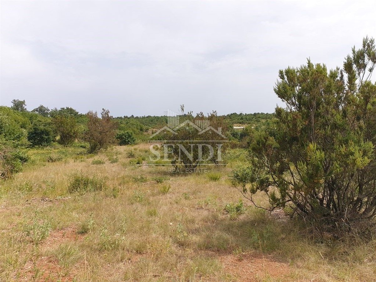 Land For sale - ISTARSKA  MARČANA 