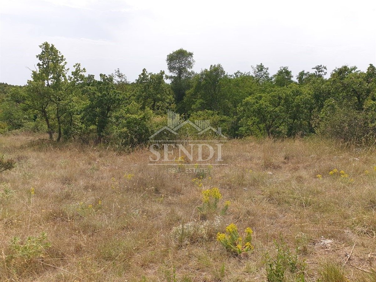 Land For sale - ISTARSKA  MARČANA 