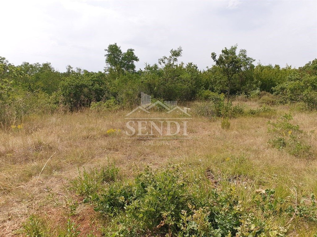 Land For sale - ISTARSKA  MARČANA 