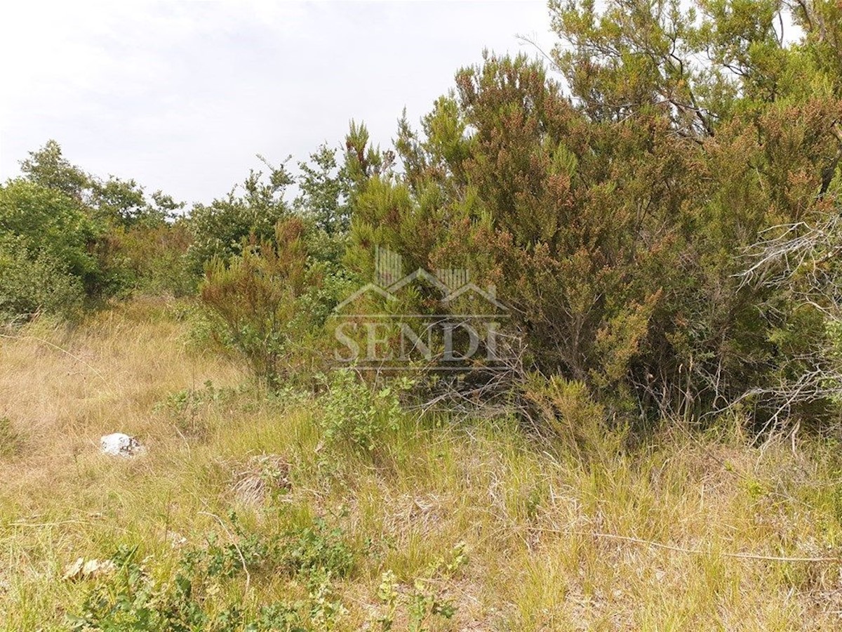 Land For sale - ISTARSKA  MARČANA 