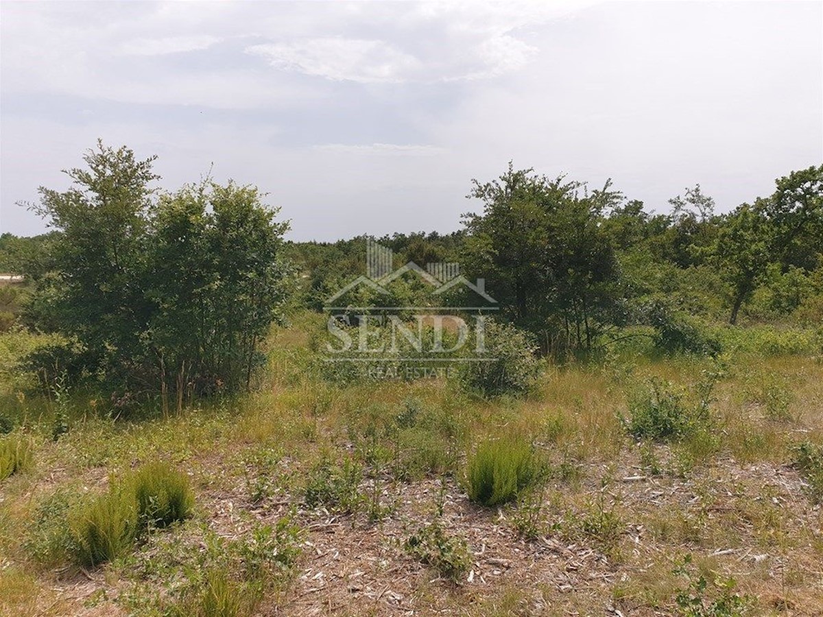 Land For sale - ISTARSKA  MARČANA 