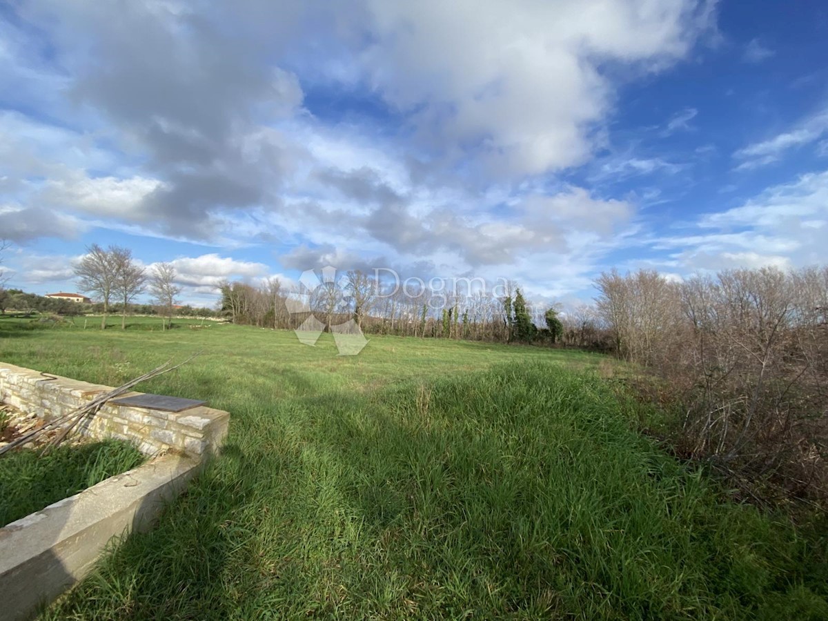 Terrain À vendre - ISTARSKA  MARČANA 