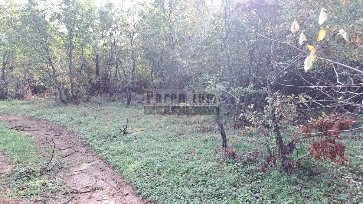 Land For sale - ISTARSKA  TINJAN 