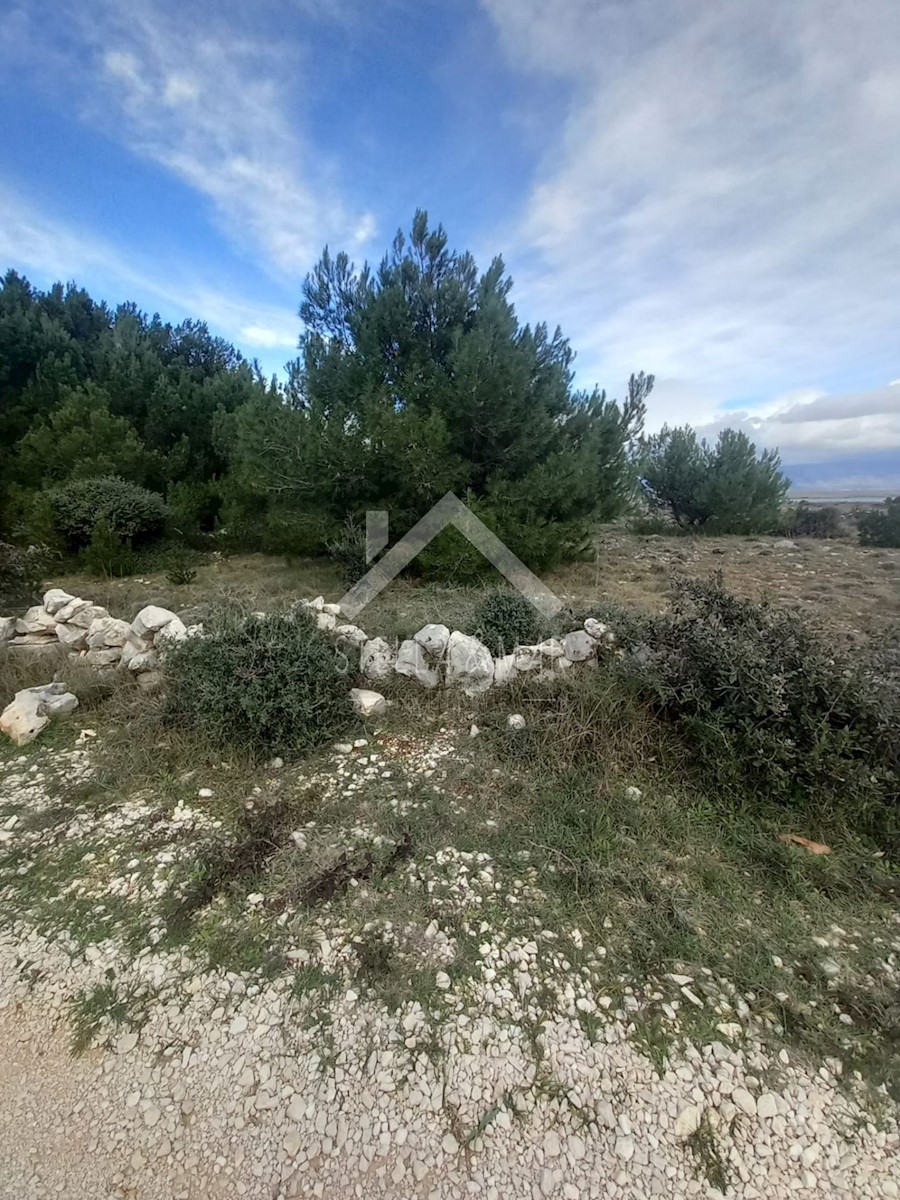 Pozemok Na predaj - ZADARSKA  VIR 
