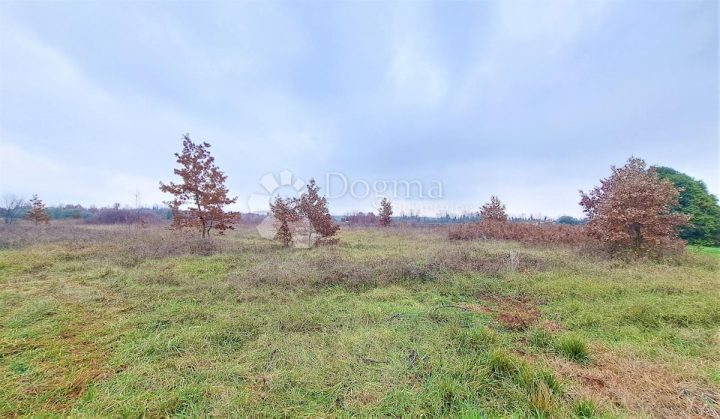 Land for sale 3000 m² – Umag