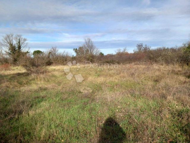 Land For sale - Istarska Svetvinčenat - foto 2/4