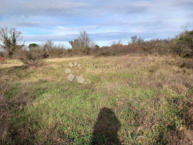 Land For sale - Istarska Svetvinčenat - foto 3/4