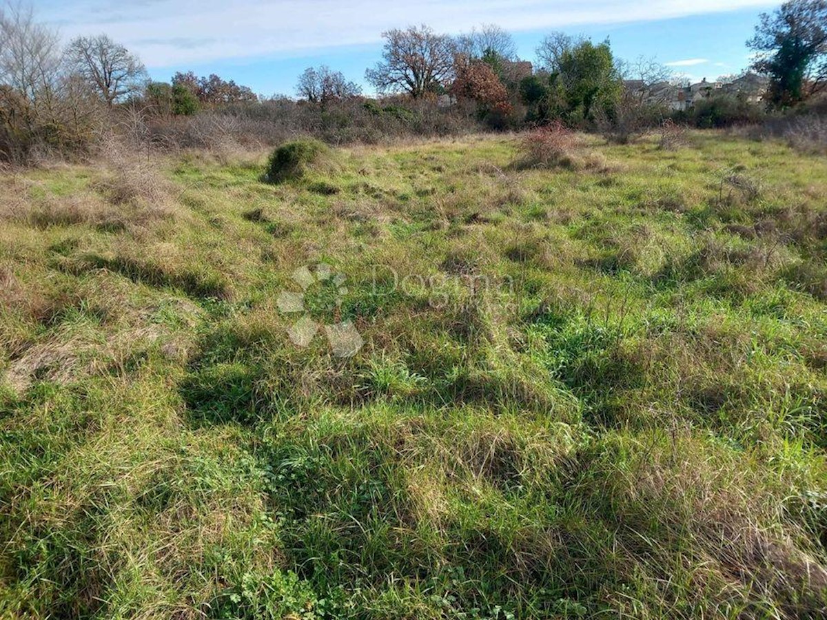 Terreno In vendita - ISTARSKA  SVETVINČENAT 