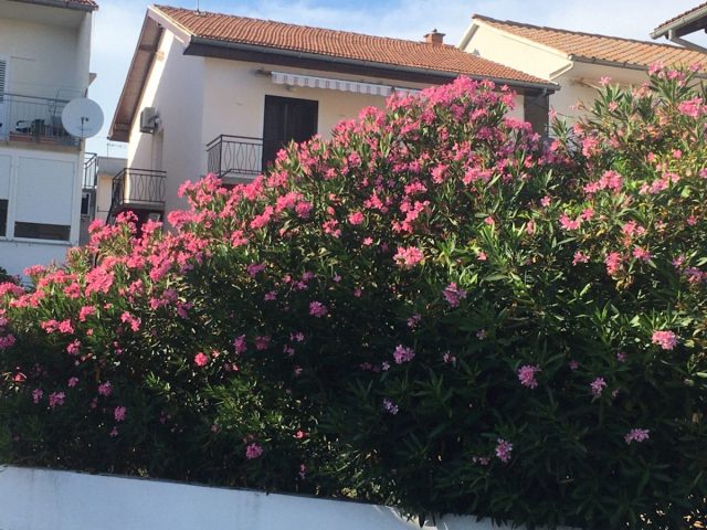 House for sale 150 m² – Primošten