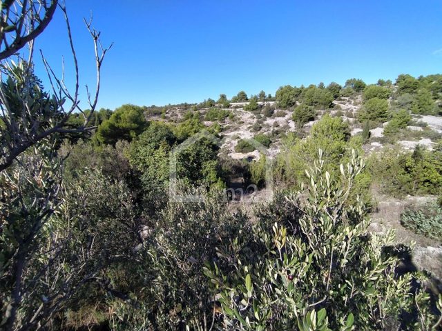 Parcela na predaj 5377 m² – Milna