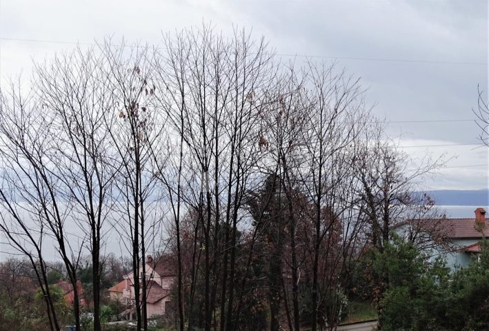 Zemljište na prodaju 1176 m² – Oprič