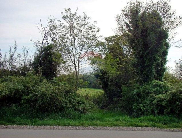 Terreno In vendita - Istarska Ližnjan - foto 3/8