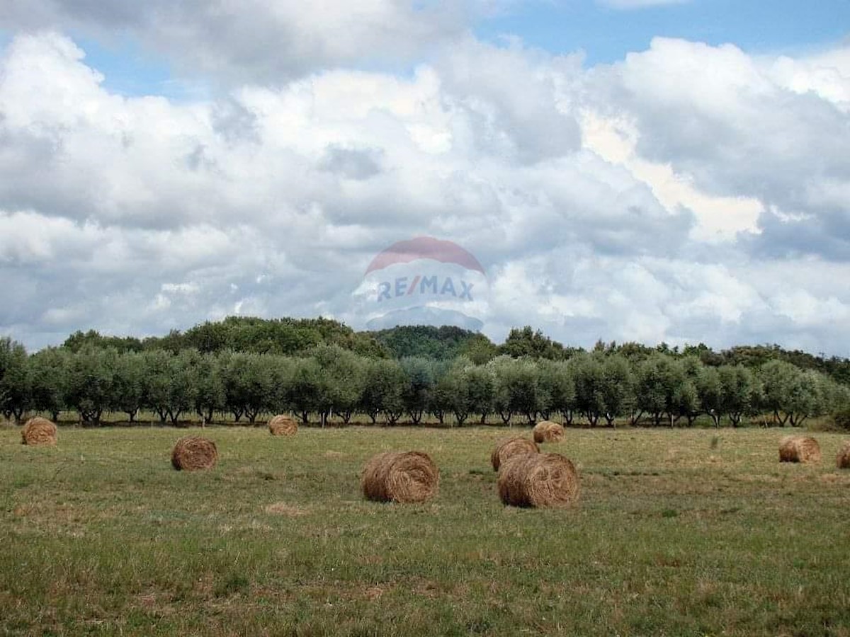 Pozemek Na prodej - ISTARSKA  LIŽNJAN 