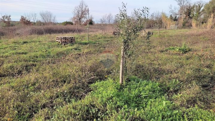 Land for sale 3054 m² – Seget