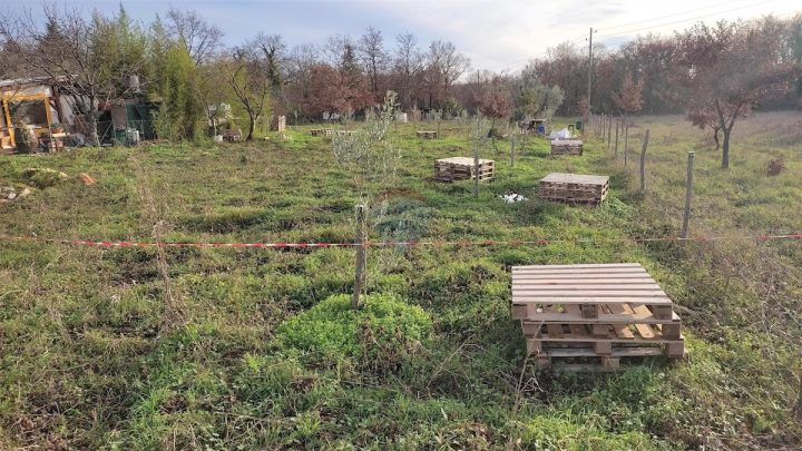 Land For sale - Istarska Umag - foto 4/5