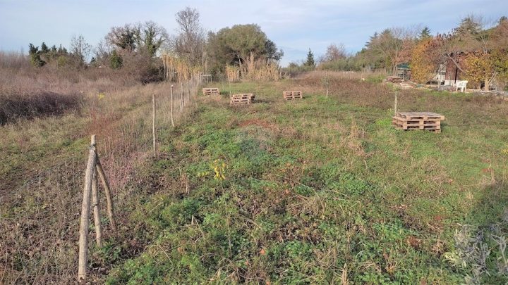 Land For sale - Istarska Umag - foto 5/5