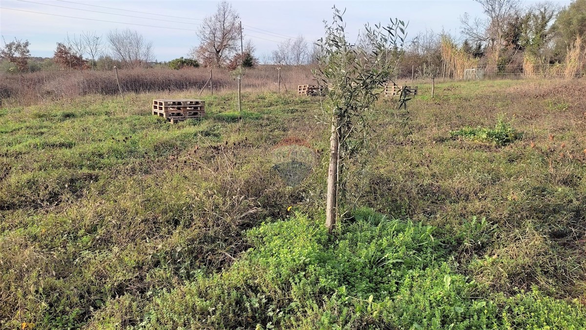 Parcela Na predaj - ISTARSKA  UMAG 