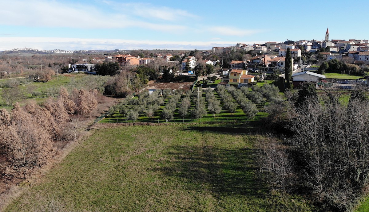 Terrain À vendre - ISTARSKA  BRTONIGLA 