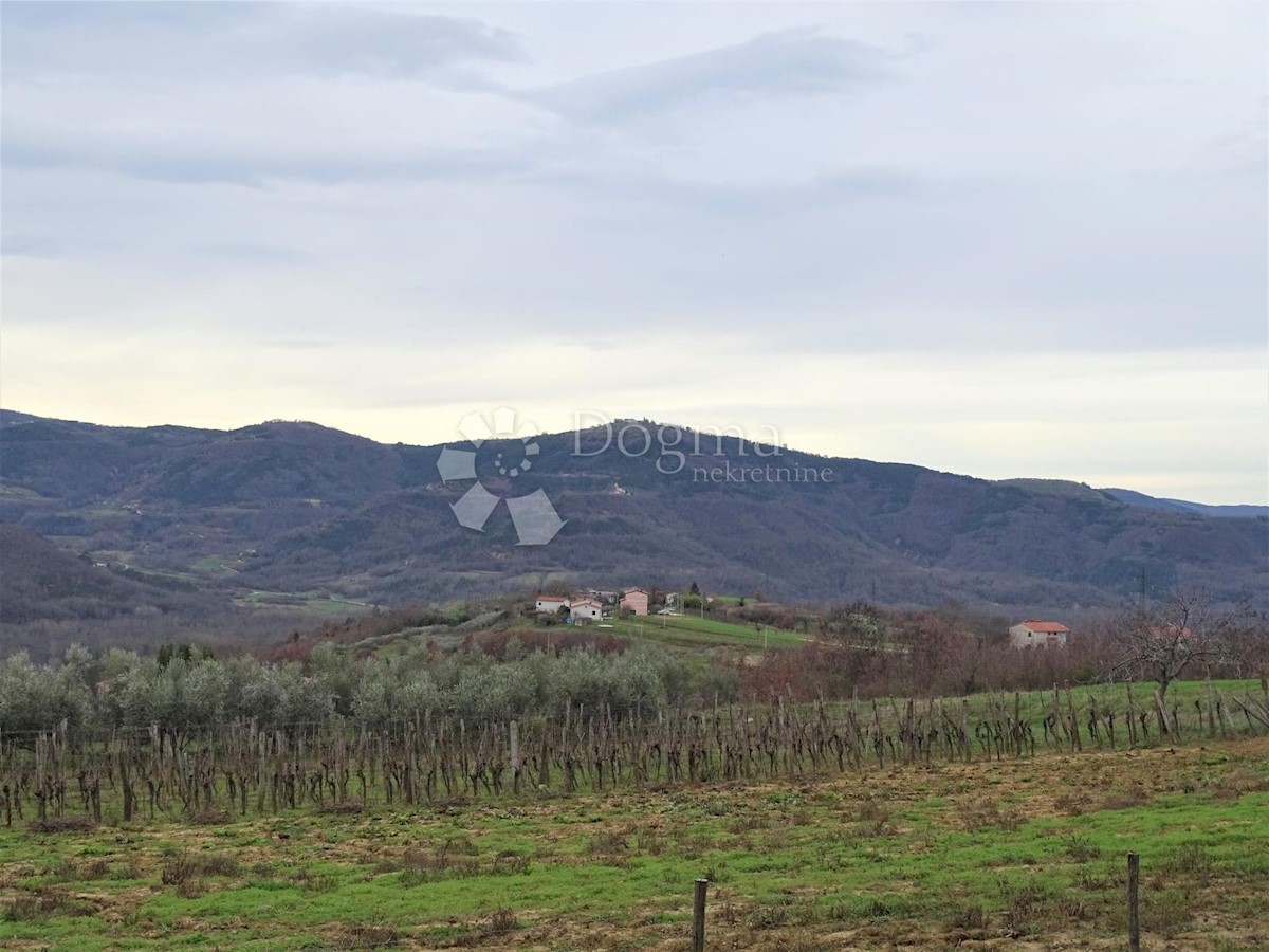 Land For sale - ISTARSKA  BUZET 