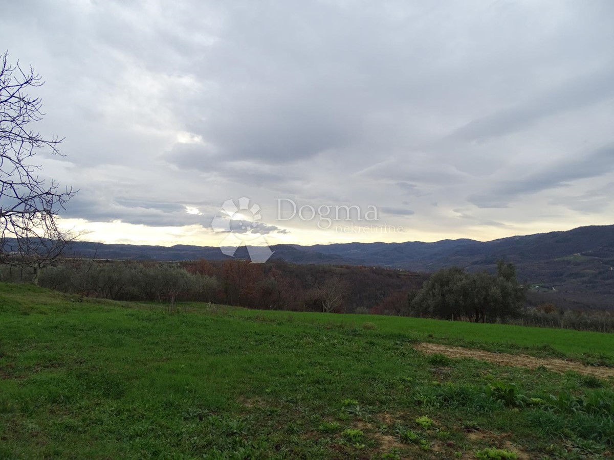 Land For sale - ISTARSKA  BUZET 