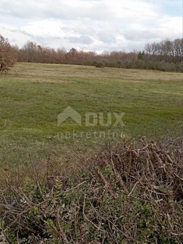 Działka na sprzedaż 13300 m² – Krnica