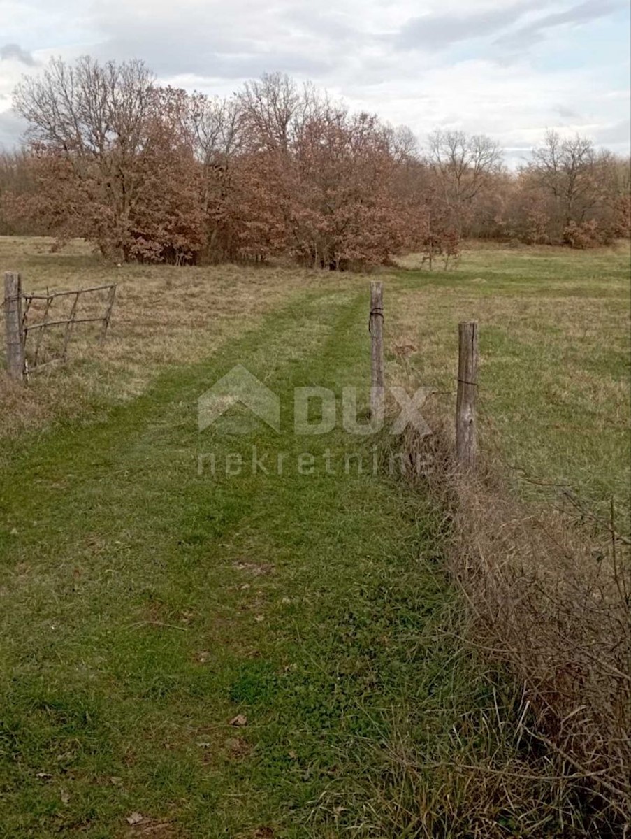 Land For sale - ISTARSKA  MARČANA 