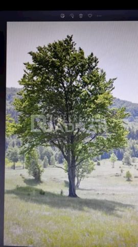 Pozemok Na predaj - Primorsko-goranska Mrkopalj - foto 3/5