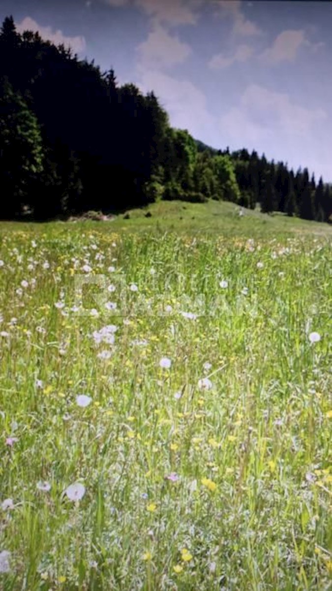 Terrain À vendre - PRIMORSKO-GORANSKA  MRKOPALJ 