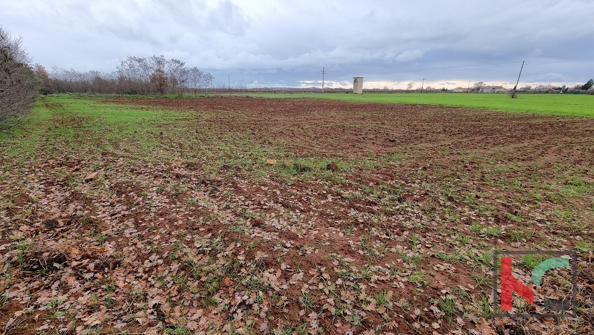 Terreno In vendita - ISTARSKA  MARČANA 